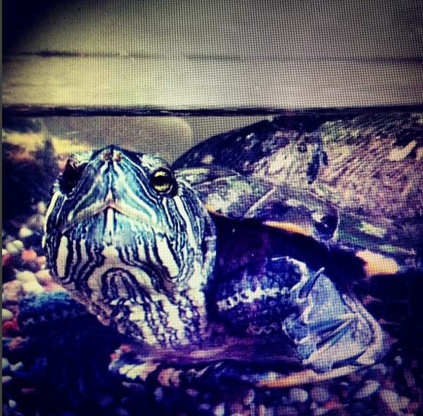 Skärmklipp 2016-03-27 23.44.25.png